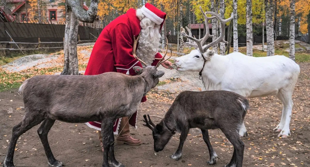 Meet Santa Claus! This is non-negotiable for kids (and big kids!). Whether it's a private meeting arranged by your tour operator or a visit to Santa's official office in Santa Claus Village, it's truly unforgettable.