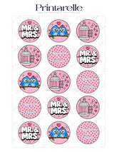 Pink circular cupcake toppers with cartoon blue owls music notes birdcages and mr for mrs wedding icing sheet use