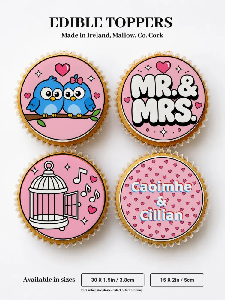 Pink edible cupcake toppers with cartoon blue birds for mr and mrs wedding made from icing sheet