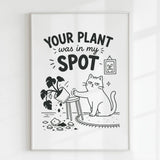 Handmade - Print - Your Plant Was In My Spot Funny Cat Wall Print | Ireland